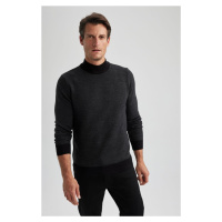 DEFACTO Regular Fit Turtleneck Sweater