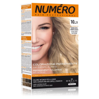 Brelil Professional Permanent Coloring barva na vlasy odstín 10.21 Glacial Ultra Light Blond 125