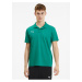 Zelené pánské sportovní polo tričko Puma Team Goal 23