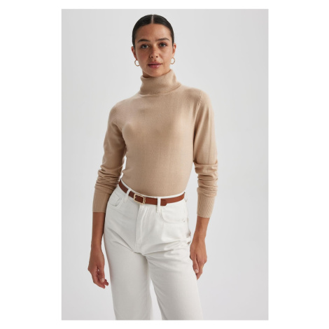 DEFACTO Regular Fit Turtleneck Basic Sweater