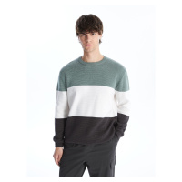 LC Waikiki Crew Neck Long Sleeve Color Block Men's Knitwear Sweater