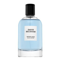 David Beckham Infinite Aqua parfémovaná voda pro muže 100 ml