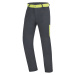 Pánské kalhoty Direct Alpine Joshua Top 1.0 anthracite/lime