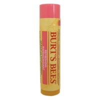 Burt's Bees Refreshing Lip Balm With Pink Grapefruit Balzám Na Rty 4.25 g