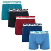 5PACK pánské boxerky Gianvaglia vícebarevné