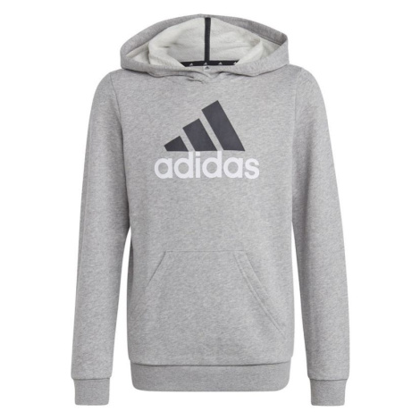 Dětská mikina Big Logo 2 Hoody Jr HB4362 - Adidas