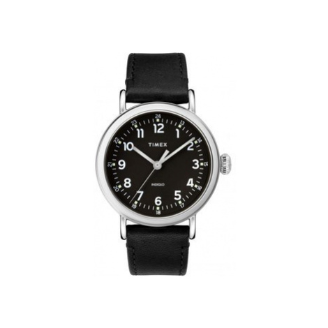 Pánské hodinky Timex TW2T20200