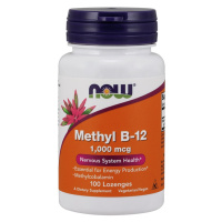 Now Foods Methyl B-12 1000 mcg 100 tablet