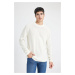 DEFACTO Men's Ecru Standard Fit Regular Cut Crew Neck Basic Plain Knitwear Sweater