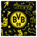 Borussia Dortmund penál na tužky colour