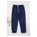 Trendyol Navy Blue Regular Cut Sweatpants