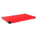 Gymnastická žíněnka inSPORTline Roshar T60 200x120x10 cm červená