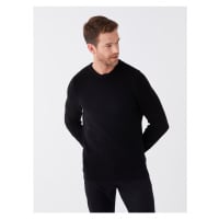 LC Waikiki Crew Neck Long Sleeve Men's Knitwear Sweater