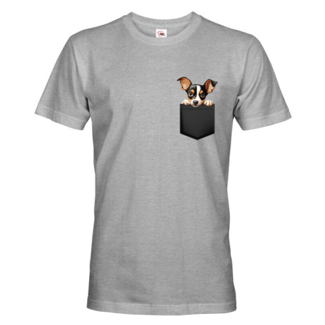 Pánské tričko Americký toy foxteriér v kapsičce - kvalitní tisk a rychlé dodání BezvaTriko