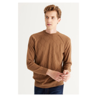 ALTINYILDIZ CLASSICS Men's Mink Standard Fit Normal Cut Crew Neck Jacquard Knitwear Sweater.