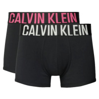 Calvin Klein 2 PACK - pánské boxerky NB2602A-GXI