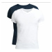 2PACK men's t-shirt Gant blue / white