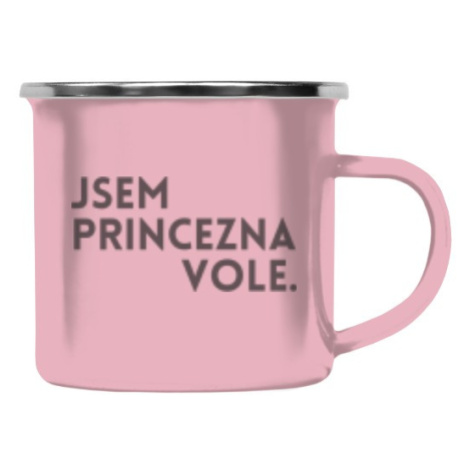 Barevný plecháček - nerezový lem Jsem princezna vole