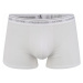 Calvin Klein Underwear Boxerky 'Trunk' šedá / bílá