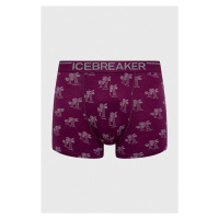 Funkční prádlo Icebreaker Merino Anatomica fialová barva