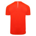 Pánské funkční tričko Dare2b RIGHTEOUS III oranžová