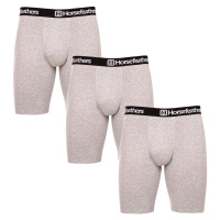 3PACK pánské boxerky Horsefeathers Dynasty long (AM195C)