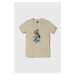 Dětské bavlněné tričko Quiksilver NEVERENDINGSURF béžová barva, s potiskem