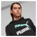 Puma Classics Logo Hoodie TR