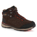 Pánské trekingové boty Regatta RMF575-UW4 hnědé