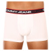 3PACK pánské boxerky Tommy Hilfiger vícebarevné (UM0UM02968 0WE)