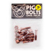 SK8 ŠROUBKY PIG WHEELS Copper Phillips - oranžová