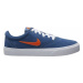 Nike SB Charge Suede GS