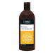 Ziaja Šampon pro barvené vlasy Slunečnice (Shampoo) 500 ml