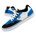 Pánské boty DC Shoes Rowlan M 300500-XWBK