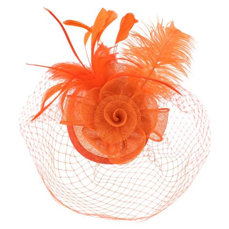 Art Of Polo Woman's Fascinator cz22175