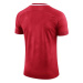 Pánské zápasové tričko II SS Jersey M model 15954210 - NIKE