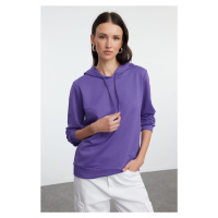 Trendyol Purple Basic Regular/Normal Pattern Hooded Thin Knitted Sweatshirt