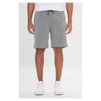 AC&Co / Altınyıldız Classics Men's Gray Standard Fit Casual Comfortable Sports Knitted Shorts