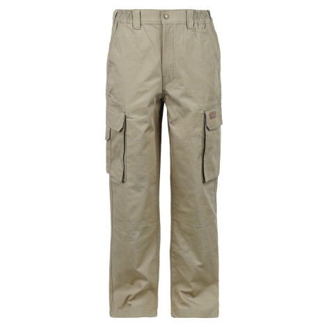 Dickies Hooper Bay Cargo Cargo kalhoty khaki
