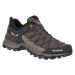 Dámské boty Salewa Ws Mtn Trainer Lite Gtx