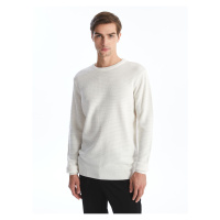 LC Waikiki Crew Neck Long Sleeve Men's Knitwear Sweater