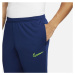 Pánské tréninkové kalhoty Academy 21 M CW6122-492 - Nike