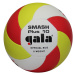 Volejbalový míč GALA Beach Smash Plus 10 BP5163S