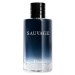 DIOR - Sauvage Refill Toaletní voda 100 ml male