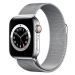 Apple Watch Series 6 44mm Cellular Stříbrný nerez se stříbrným milánským tahem