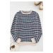 Trendyol Multicolored Regular Crew Neck Ethnic Knitwear Sweater