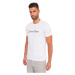Pánské tričko Calvin Klein bílé (NM1129E-100)