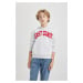 DEFACTO Boy's Hooded Printed Thick Sweatshirt