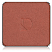 Diego dalla Palma Matt Eyeshadow Refill System matné oční stíny náhradní náplň odstín 164 Red Ha