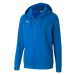 Pánské tričko teamGoal 23 Casuals Hooded M 656708 02 - Puma